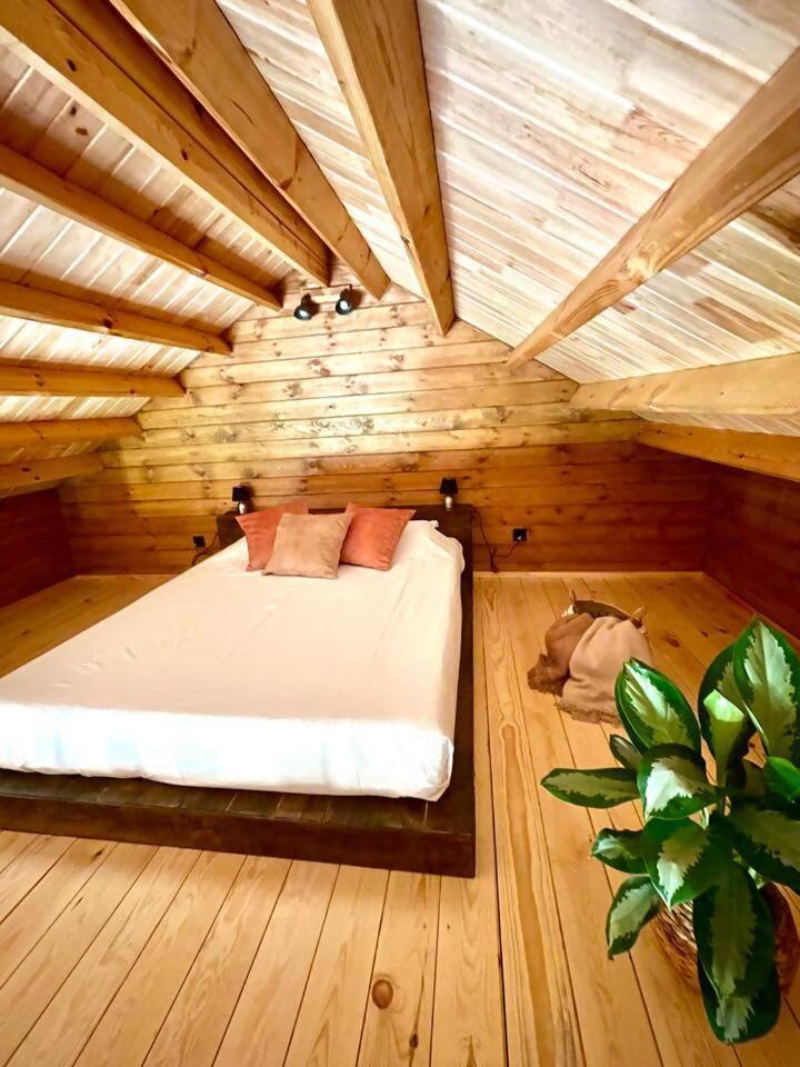 Hotel Mountain Eco Shelter 3 Corujeira de Dentro Esterno foto